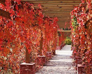 Beijing Jinyu Badaling Hot Spring Resort Xiaohetun المظهر الخارجي الصورة